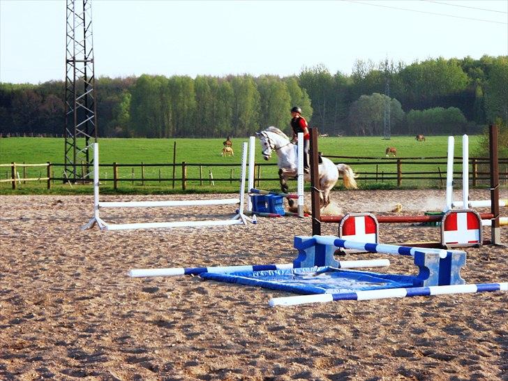 Spring træning på Junker da vi startede sammen - Og så OL springet en gang til i bedre syn. billede 16