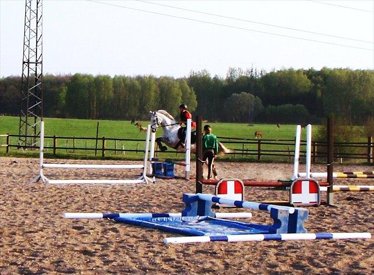 Spring træning på Junker da vi startede sammen - Et smukt og meget vellykket spring ; 0 billede 18