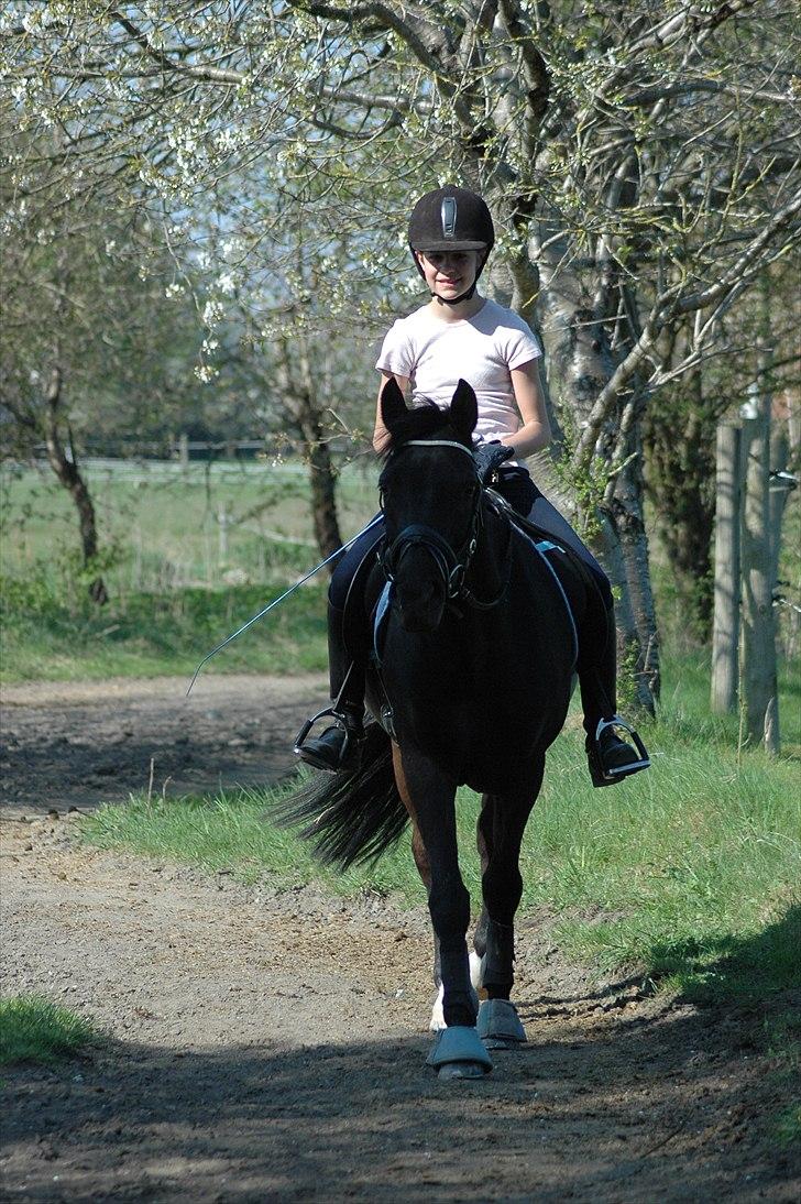 Alt muligt billede 4