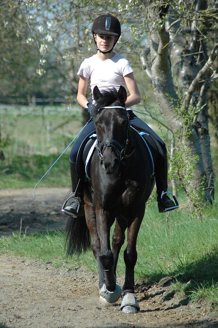 Alt muligt billede 3