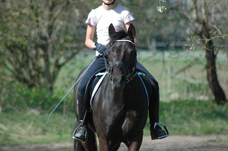 Alt muligt billede 1