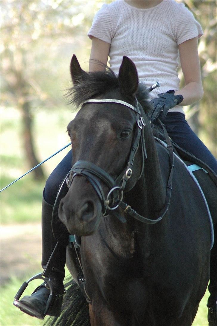 Alt muligt billede 2