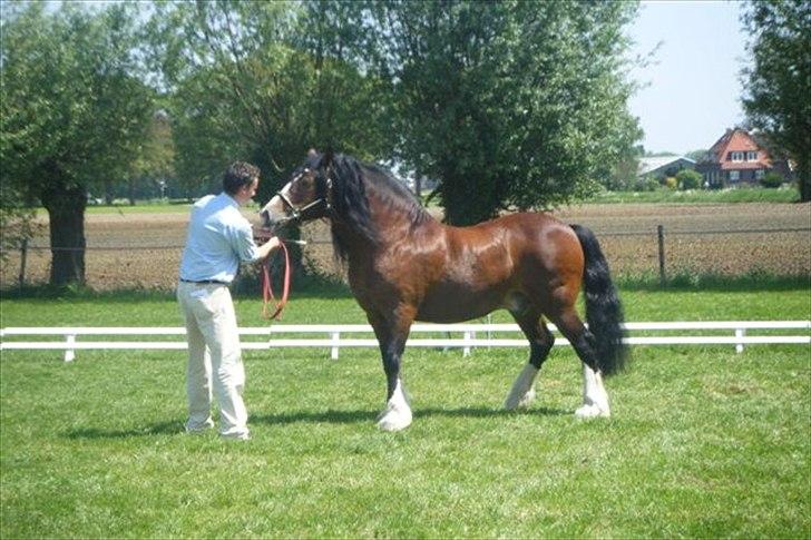  Adelheide’s  Charming Boys far Cobtain Aladin billede 2