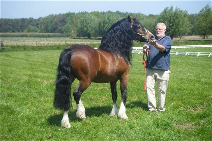  Adelheide’s  Charming Boys far Cobtain Aladin billede 5