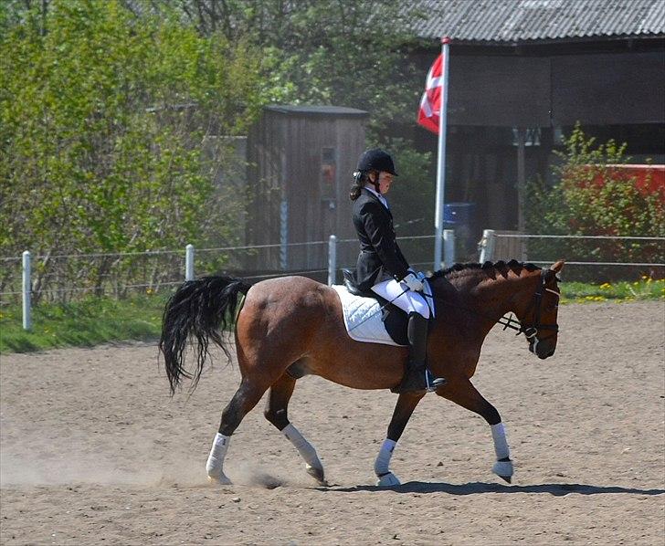 Stemningsbilleder fra stævne 30.4.11 - Lidt mere trav billede 7