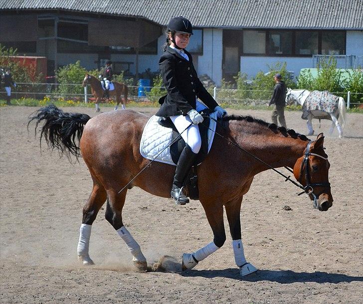 Stemningsbilleder fra stævne 30.4.11 - Endelig færdig siger Dusen og viser sig i afslappet stil billede 8