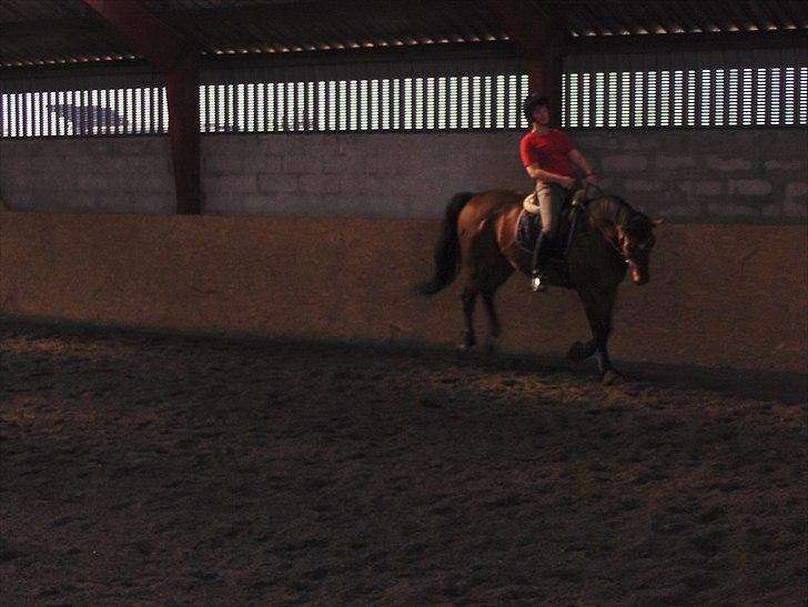 Til Kursus hos Jørgen fra Team Møllen d. 30/4-2011 - 1/5-2011 billede 2