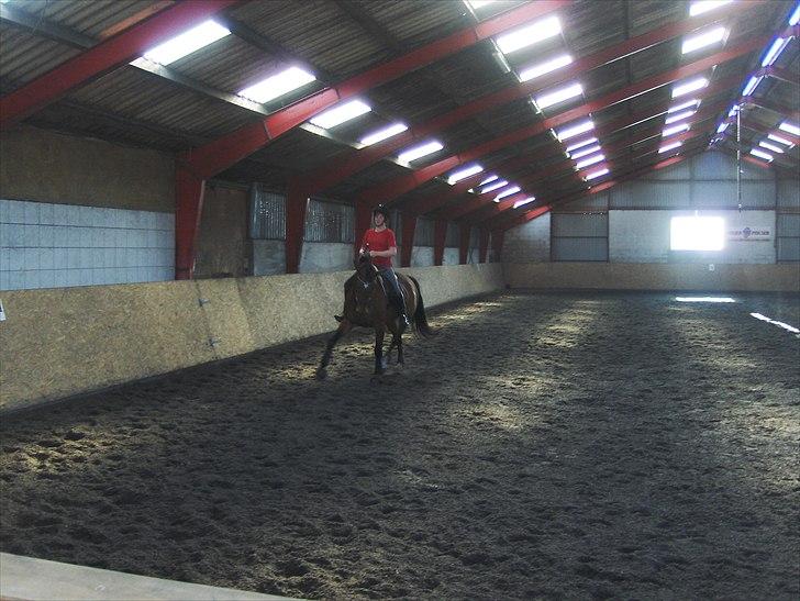 Til Kursus hos Jørgen fra Team Møllen d. 30/4-2011 - 1/5-2011 billede 4