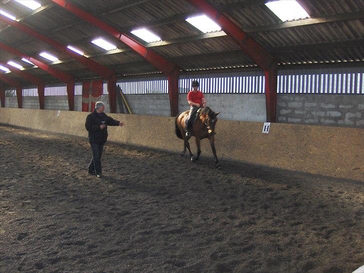 Til Kursus hos Jørgen fra Team Møllen d. 30/4-2011 - 1/5-2011 billede 5