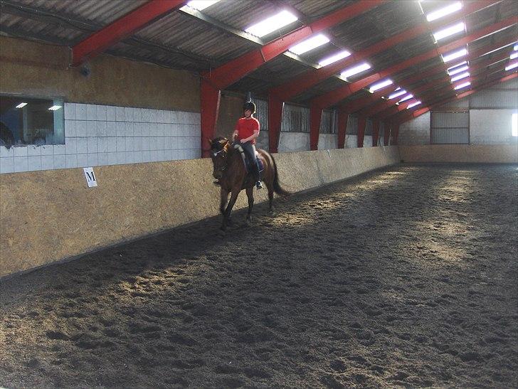 Til Kursus hos Jørgen fra Team Møllen d. 30/4-2011 - 1/5-2011 billede 6