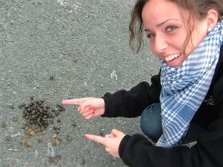 Med klassen i Dublin :) - Tina ? billede 40