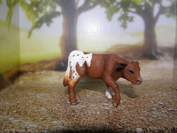 Mine Schleich Dyr - Navn: Proza Race: Texas Langhorn Køn: Kvie Alder: 1½ mdr. billede 87