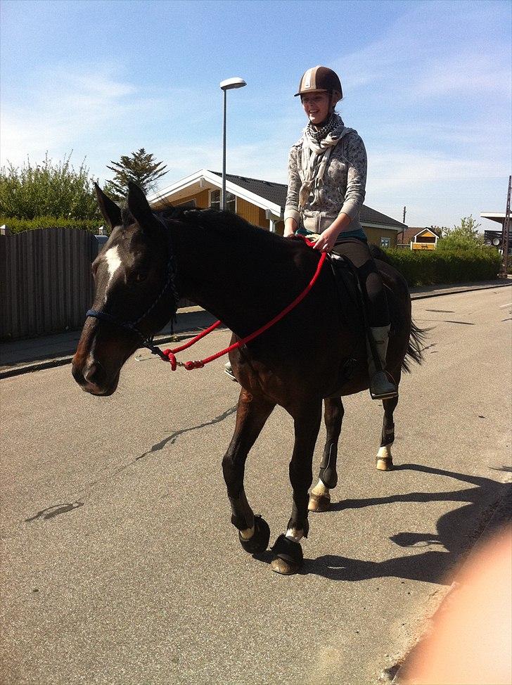 [Camilla Stormont] Random hest... - Ude og undervise Sandra og Asmira. Første gang Sandra rider hele turen imens jeg har undervist hende, og det gik bare super godt! De to er sgu' begyndt at arbejde sammen istedet for mod hinanden, skønt at se! billede 2
