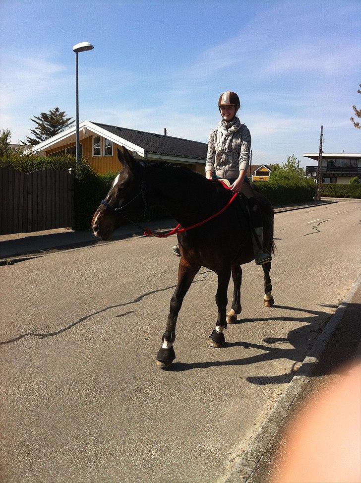 [Camilla Stormont] Random hest... - Ude og undervise Sandra og Asmira. Første gang Sandra rider hele turen imens jeg har undervist hende, og det gik bare super godt! De to er sgu' begyndt at arbejde sammen istedet for mod hinanden, skønt at se! billede 3