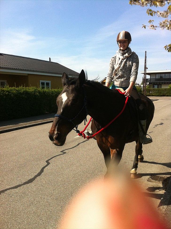 [Camilla Stormont] Random hest... - Ude og undervise Sandra og Asmira. Første gang Sandra rider hele turen imens jeg har undervist hende, og det gik bare super godt! De to er sgu' begyndt at arbejde sammen istedet for mod hinanden, skønt at se! billede 4