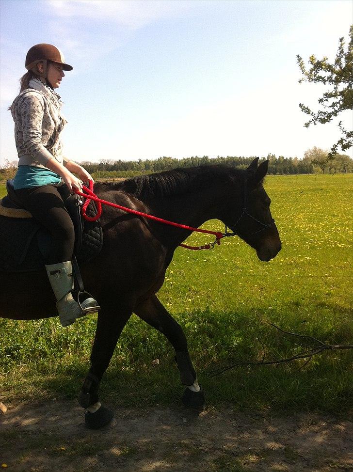 [Camilla Stormont] Random hest... - Ude og undervise Sandra og Asmira. Første gang Sandra rider hele turen imens jeg har undervist hende, og det gik bare super godt! De to er sgu' begyndt at arbejde sammen istedet for mod hinanden, skønt at se! billede 5