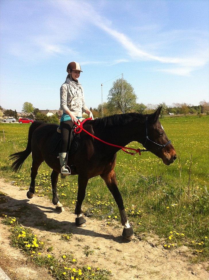 [Camilla Stormont] Random hest... - Ude og undervise Sandra og Asmira. Første gang Sandra rider hele turen imens jeg har undervist hende, og det gik bare super godt! De to er sgu' begyndt at arbejde sammen istedet for mod hinanden, skønt at se! billede 6