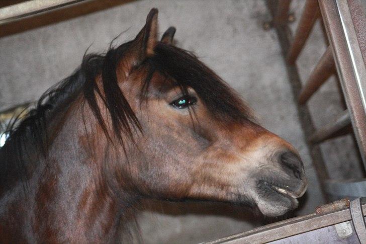 Bella Bolina Du betyder alt! :´) billede 2