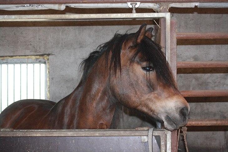 Bella Bolina Du betyder alt! :´) billede 4