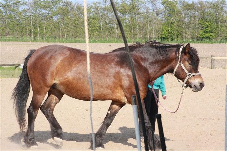 Bella Bolina Du betyder alt! :´) billede 5