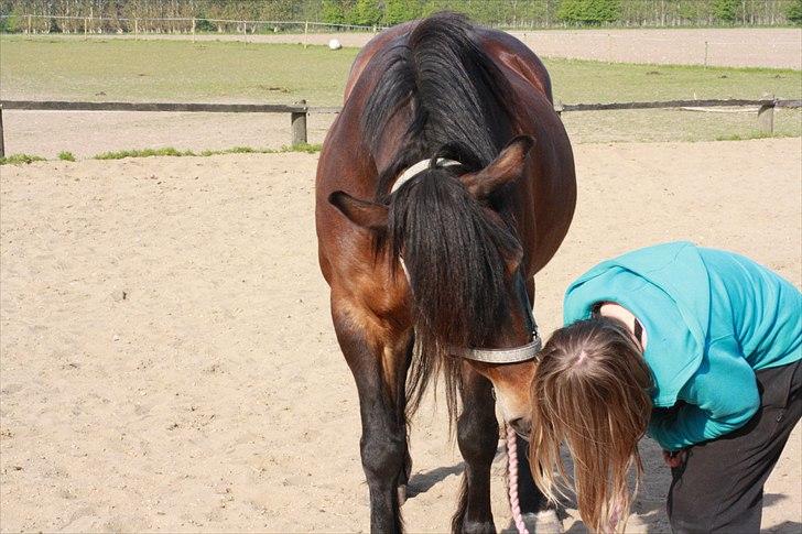 Bella Bolina Du betyder alt! :´) billede 6