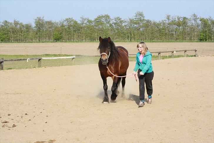 Bella Bolina Du betyder alt! :´) billede 8