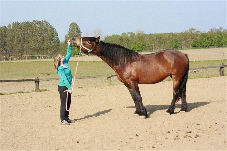 Bella Bolina Du betyder alt! :´) billede 12