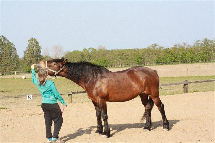 Bella Bolina Du betyder alt! :´) billede 14