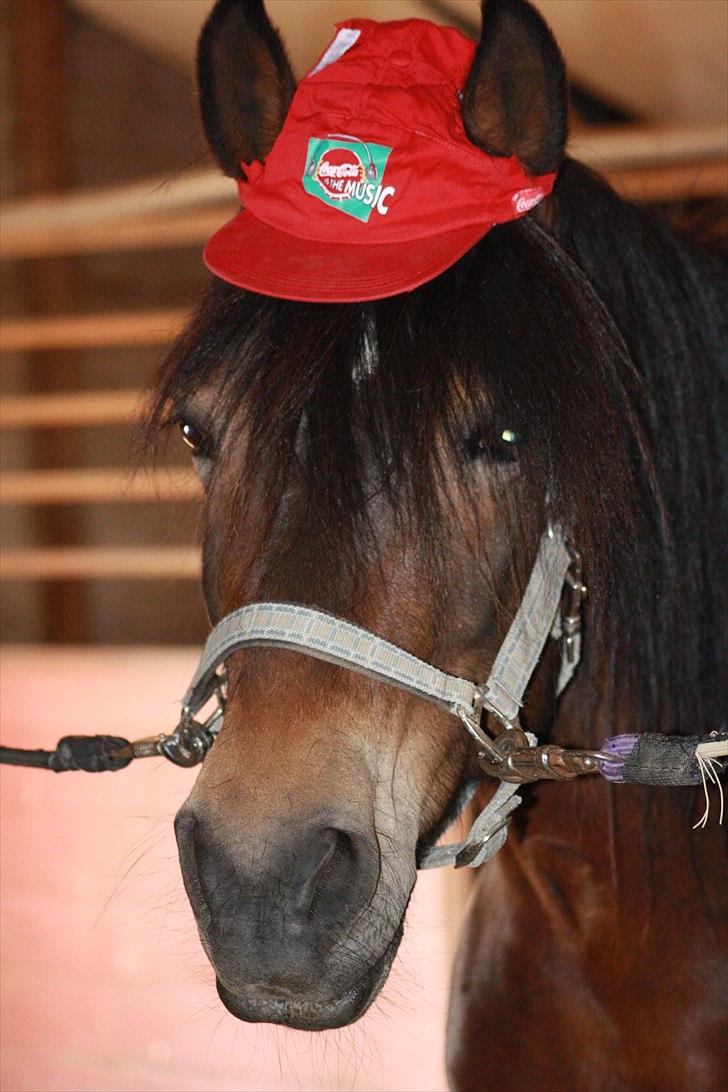 Bella Bolina Du betyder alt! :´) billede 18