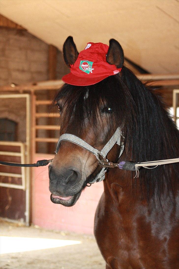 Bella Bolina Du betyder alt! :´) billede 19