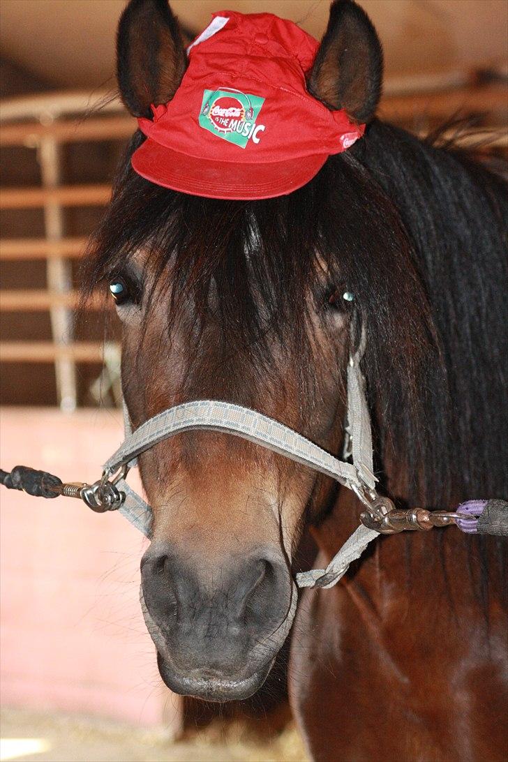 Bella Bolina Du betyder alt! :´) billede 1