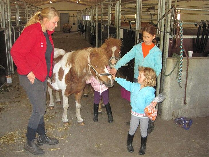Tøsens 25 års fødselsdag på Rideklubben billede 3