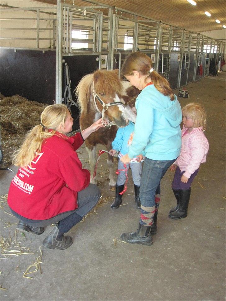 Tøsens 25 års fødselsdag på Rideklubben billede 5
