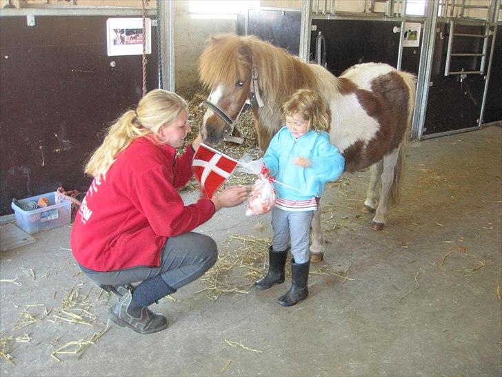 Tøsens 25 års fødselsdag på Rideklubben - Tøsens fødselsdagsgave fra Anne (som ejer hende). billede 1