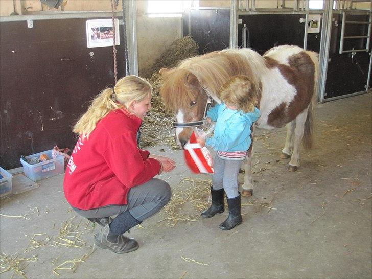 Tøsens 25 års fødselsdag på Rideklubben billede 6