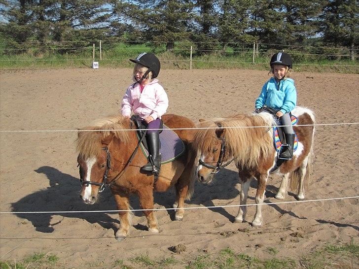 Tøsens 25 års fødselsdag på Rideklubben - Freja og Stephanie på fødselsdagstur på Futte og Tøsen.
 billede 7
