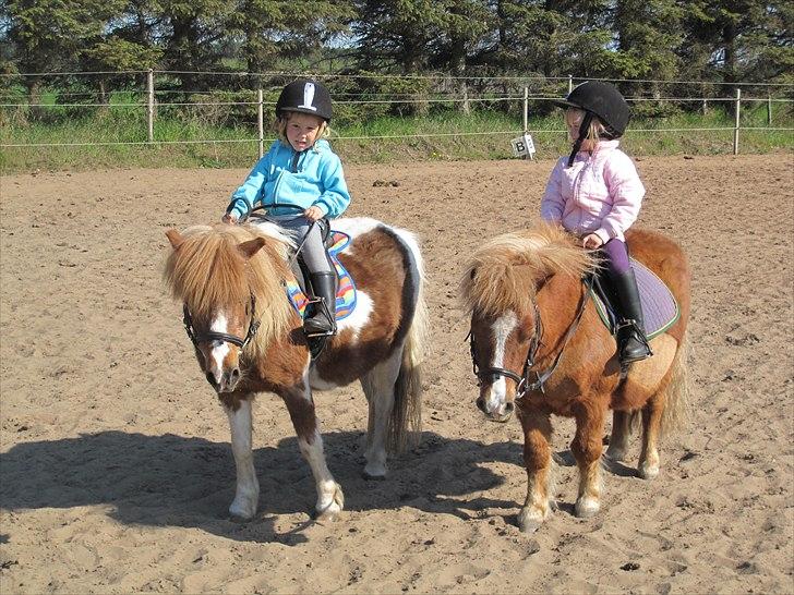 Tøsens 25 års fødselsdag på Rideklubben billede 9