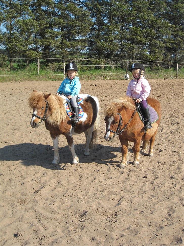 Tøsens 25 års fødselsdag på Rideklubben billede 10
