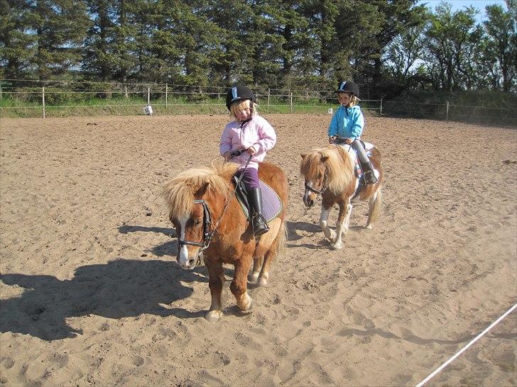 Tøsens 25 års fødselsdag på Rideklubben billede 11