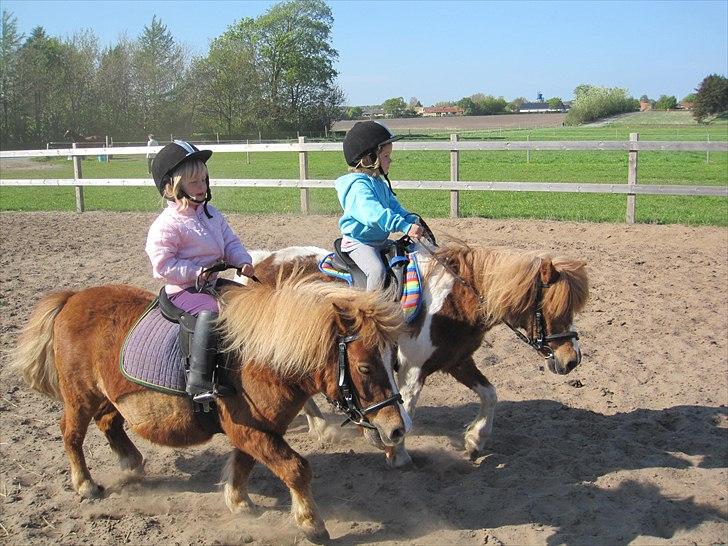 Tøsens 25 års fødselsdag på Rideklubben billede 12