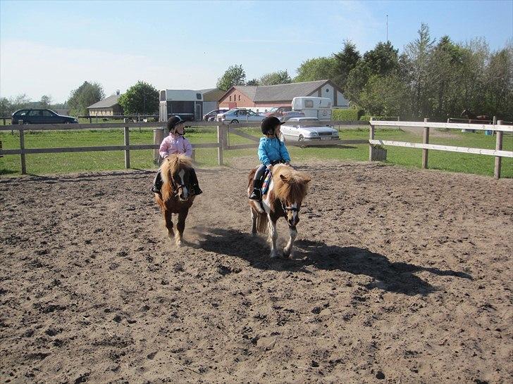 Tøsens 25 års fødselsdag på Rideklubben billede 13
