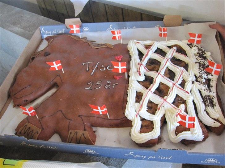Tøsens 25 års fødselsdag på Rideklubben - Anne kom med kagen. billede 2