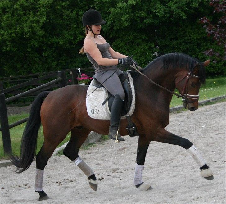 Kængubarnet med hop i billede 1