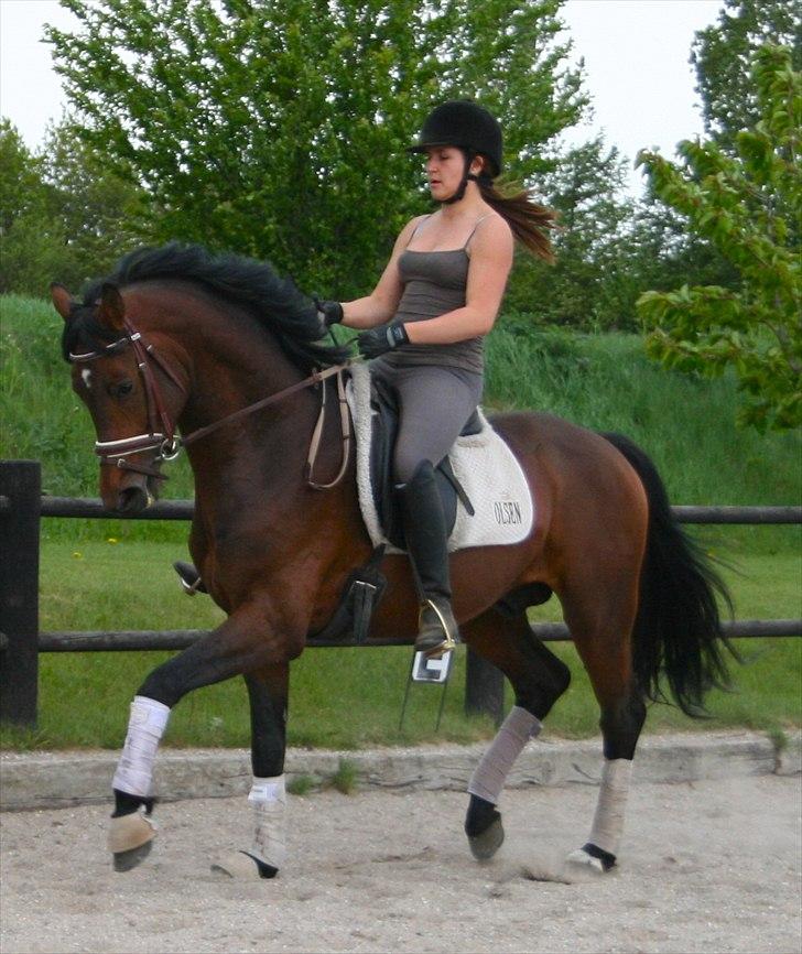 Kængubarnet med hop i billede 3