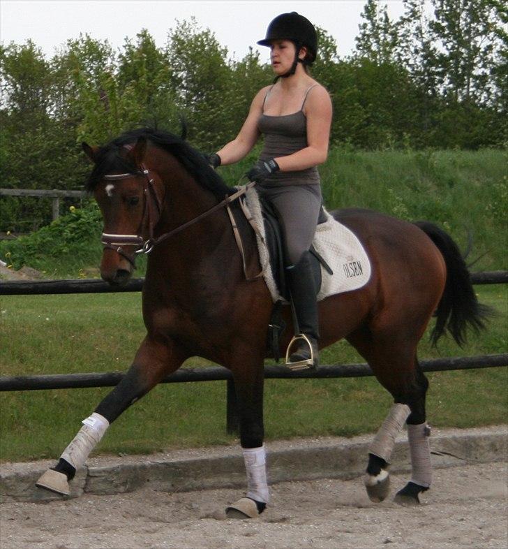 Kængubarnet med hop i billede 4