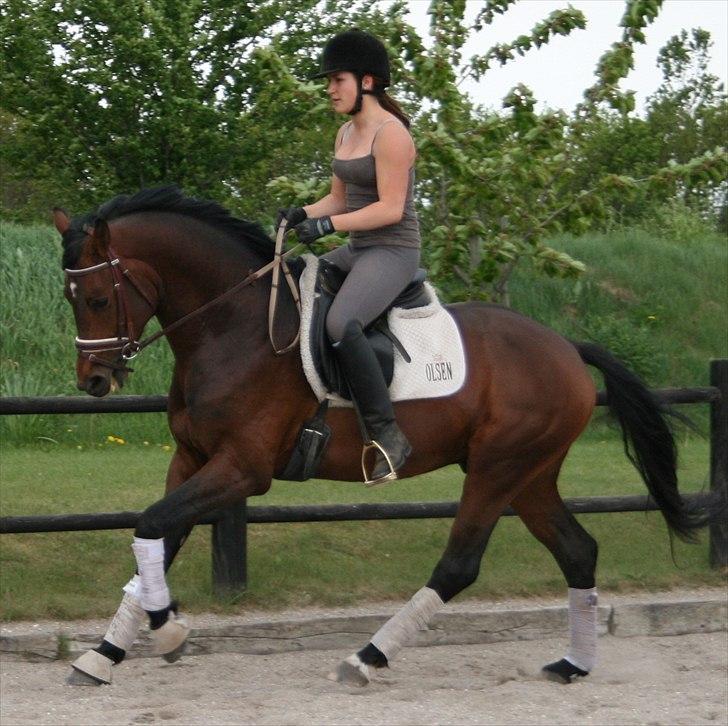 Kængubarnet med hop i billede 5