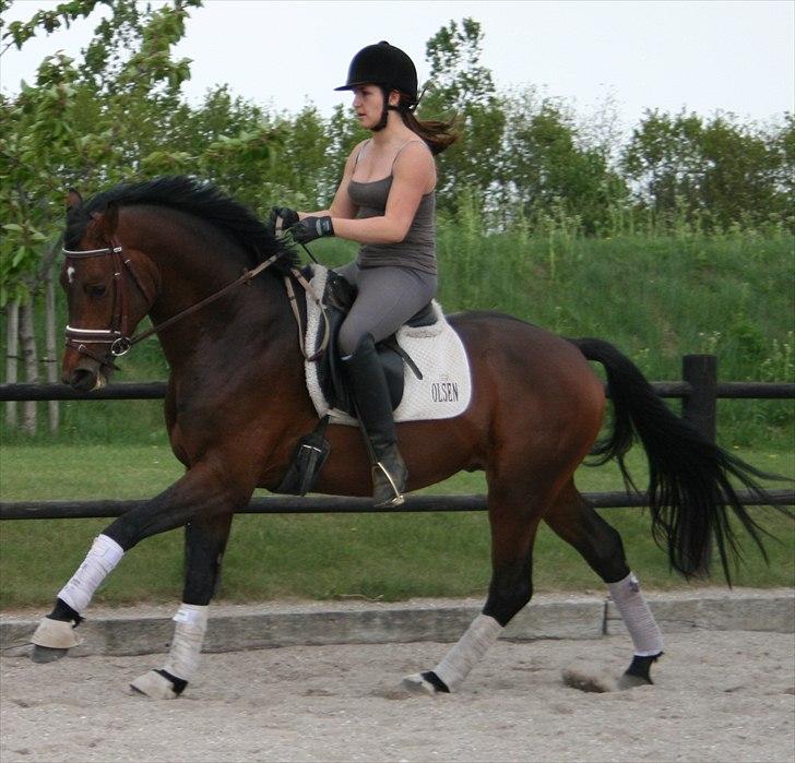 Kængubarnet med hop i billede 6