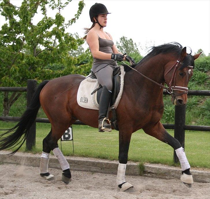 Kængubarnet med hop i billede 7