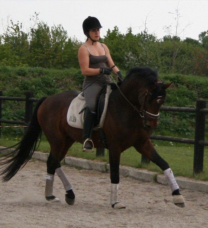 Kængubarnet med hop i billede 8