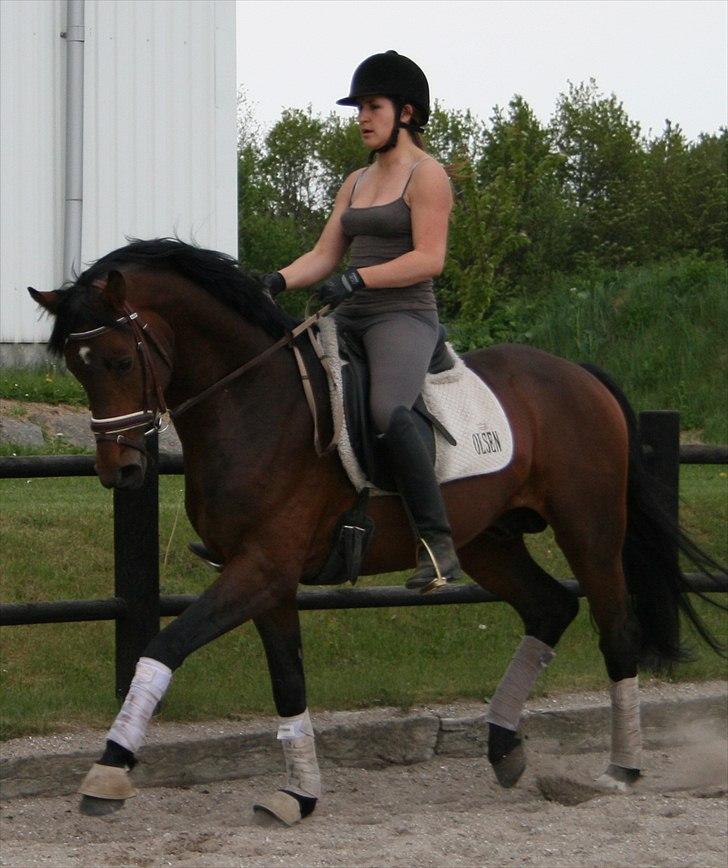 Kængubarnet med hop i billede 9